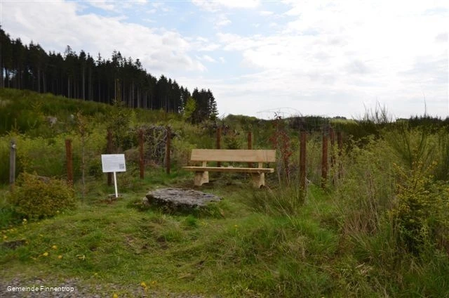Bank am Hexenstein im Wald �stlich von Sch�ndelt